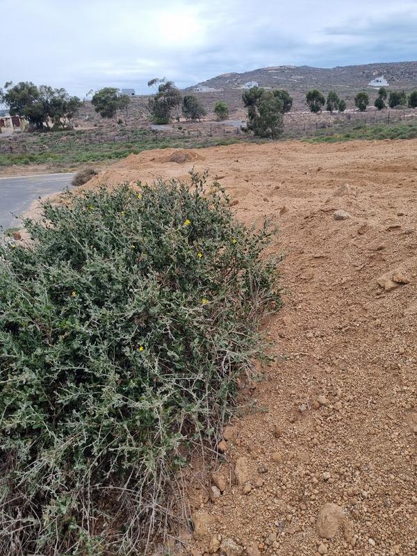 0 Bedroom Property for Sale in St Helena Views Western Cape